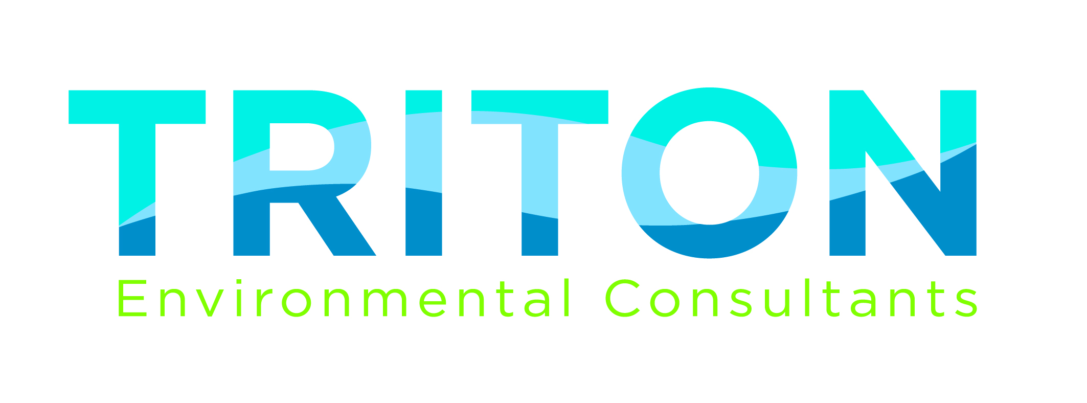Logo des consultants en environnement Triton